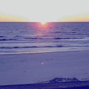 Meet your Posher, Lex